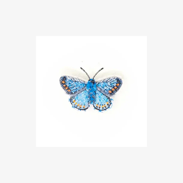 Trovelore - Broche - Adonis blue butterfly