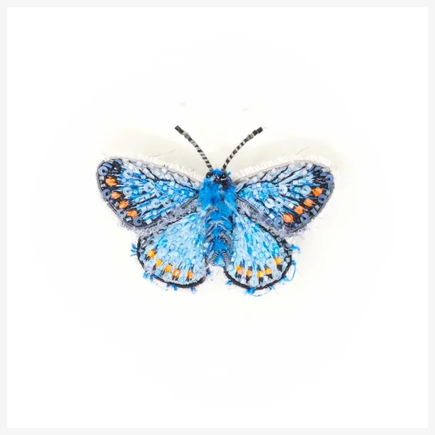  Trovelore - Broche - Adonis Blue Butterfly
