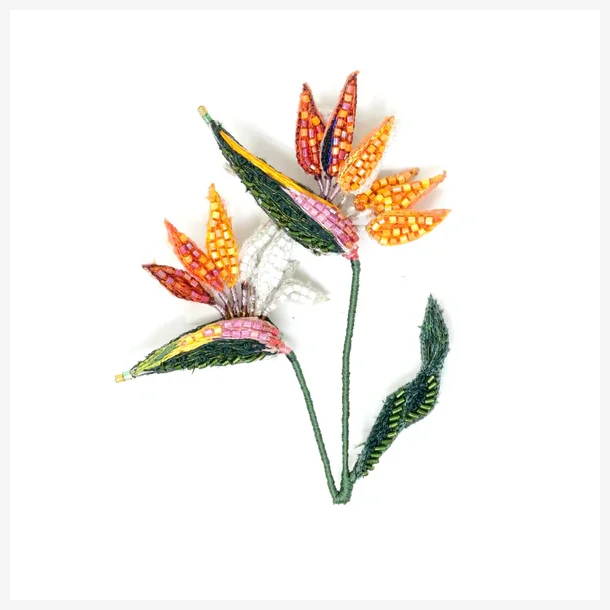 Trovelore - Broche - Bird of paradise