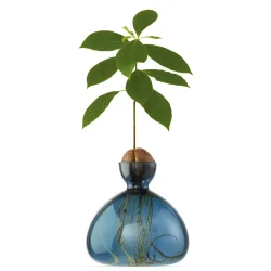 Ilex Studio - Vase - Avokado - Blue Jay