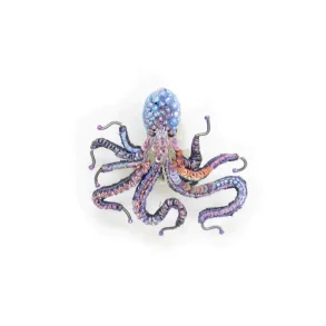 Trovelore - Broche - Common Octopus