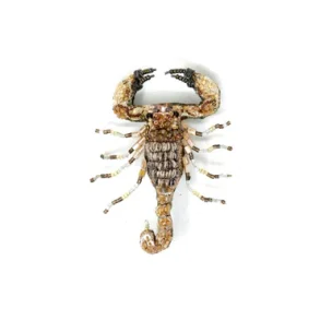 Trovelore - Broche - Desert scorpion