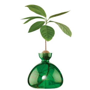 Ilex Studio - Vase - Avokado - Emerald Green