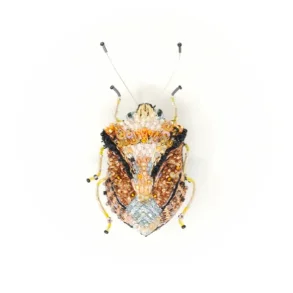 Trovelore - Europisk Skjold Insekt - Broche