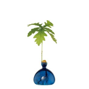 Ilex Studio - Vase - Agern - Lapis Blue