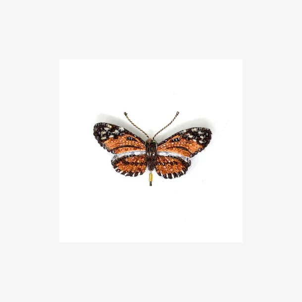 Trovelore - Broche  - Isabella's Longwing Butterfly