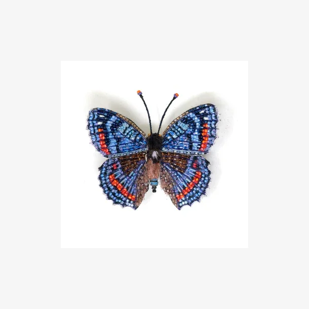 Trovelore - Broche - Red spotted Admiral butterfly