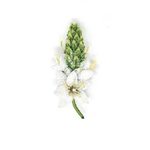 Trovelore - Broche - Wonder Flower