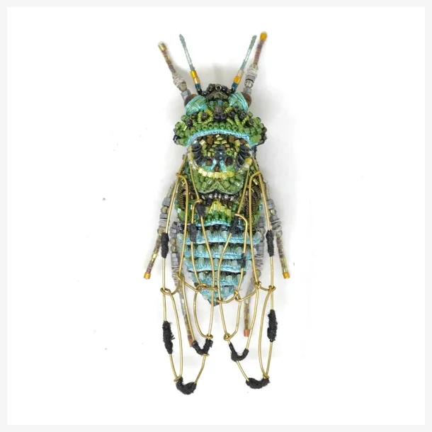 Trovelore - Broche - Zammara Cicada