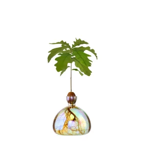 Ilex Studio - Vase - Agern