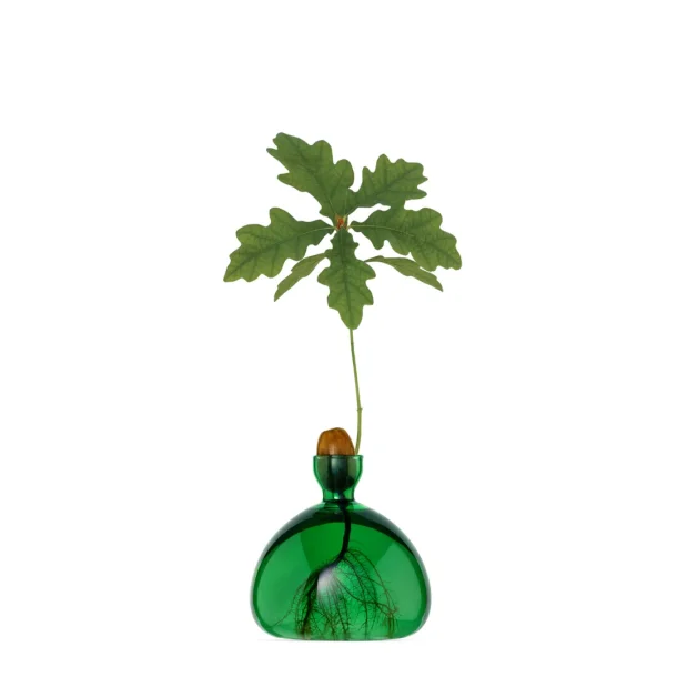 Ilex Studio - Vase - Agern - Emerald Green